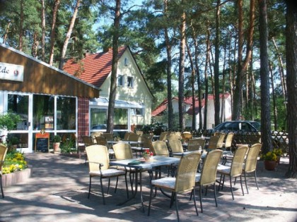 Foto: Im Walde
