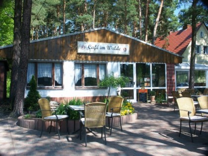 Foto: Im Walde