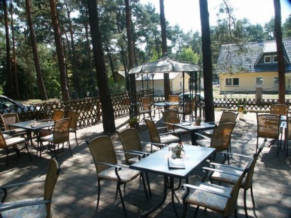 Foto: Im Walde