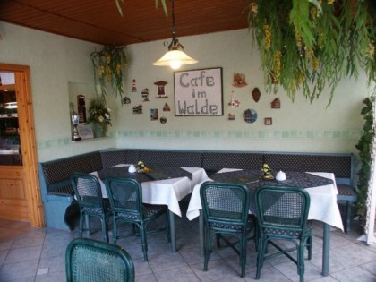 Foto: Im Walde
