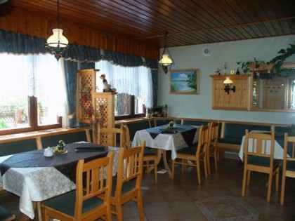 Foto: Im Walde