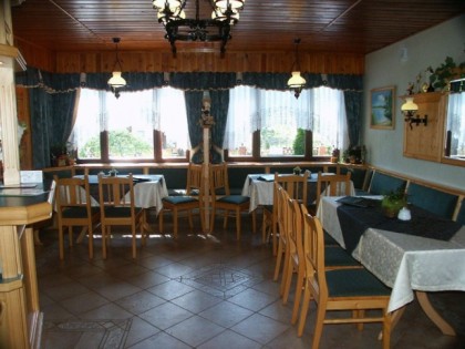 Foto: Im Walde